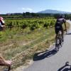 Gigondas ou les Zolmos au Mont Ventoux