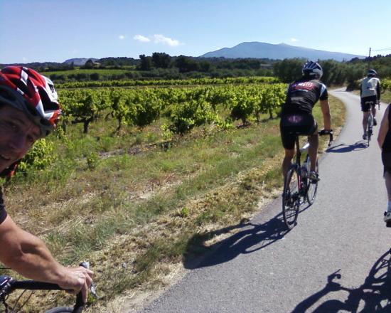 Gigondas ou les Zolmos au Mont Ventoux