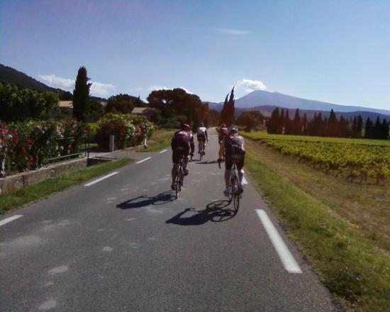 Gigondas ou les Zolmos au Mont Ventoux