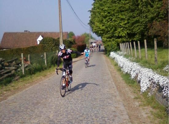 Tour des Flandres 2009