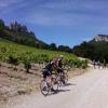 Gigondas ou les Zolmos au Mont Ventoux