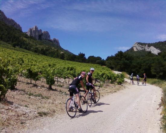 Gigondas ou les Zolmos au Mont Ventoux