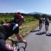 Gigondas ou les Zolmos au Mont Ventoux