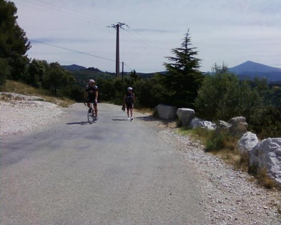 Gigondas ou les Zolmos au Mont Ventoux