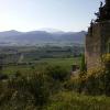 Gigondas ou les Zolmos au Mont Ventoux