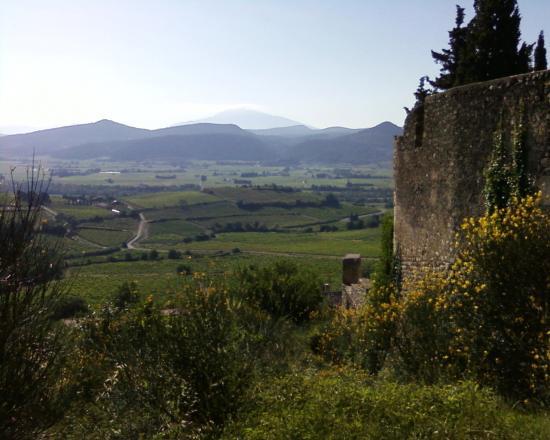 Gigondas ou les Zolmos au Mont Ventoux