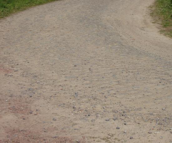 Le Paris-Roubaix pro 2010