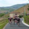 Les Zolmos dans le Beaujolais