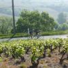 Les Zolmos dans le Beaujolais