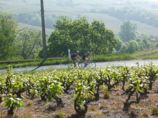 Les Zolmos dans le Beaujolais