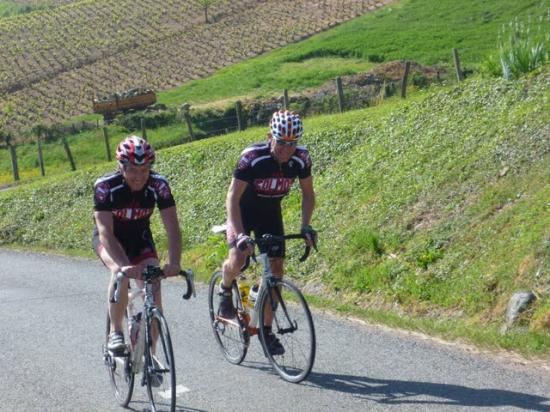 Les Zolmos dans le Beaujolais