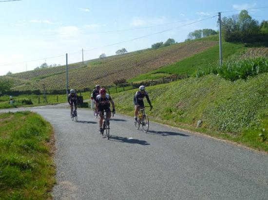 Les Zolmos dans le Beaujolais