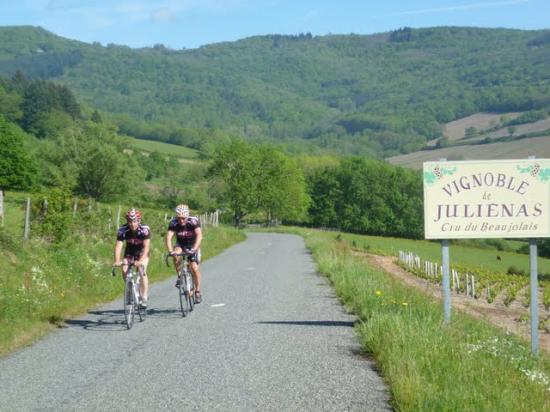 Les Zolmos dans le Beaujolais