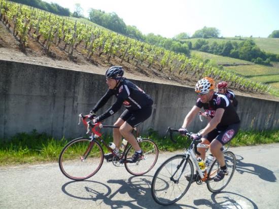 Les Zolmos dans le Beaujolais