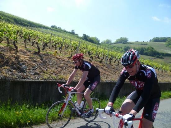 Les Zolmos dans le Beaujolais